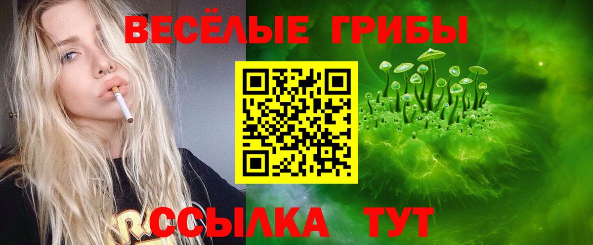 Дивногорск  Галлюциногенные грибы Magic Shrooms  Вход с VPN 