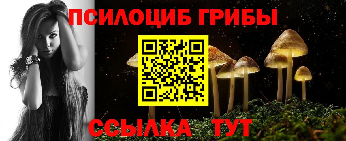 Галлюциногенные грибы Psilocybe Дивногорск